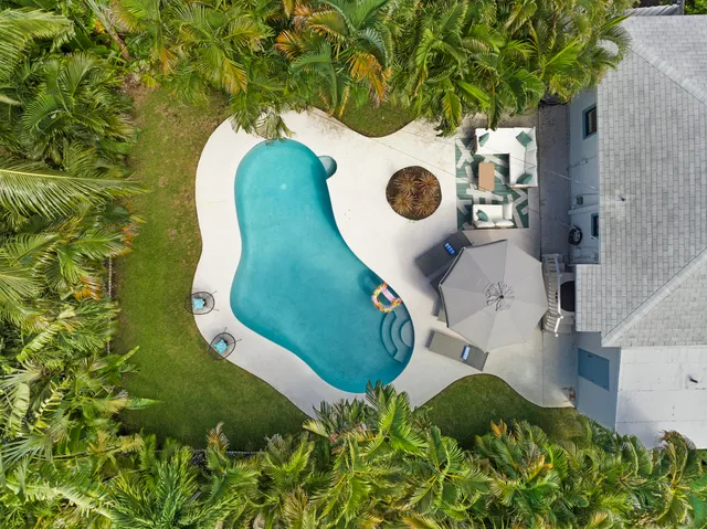 a bird view of a garden