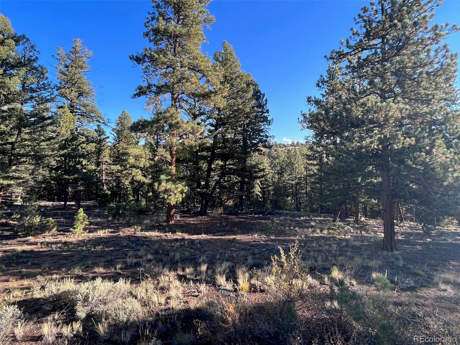 14759 Quartz Circle Salida, CO 81201 - Photo 11 of 11 a view of dirt yard with a tree