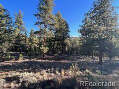 14759 Quartz Circle Salida, CO 81201 - Photo 2 of 11 a view of a yard with a tree