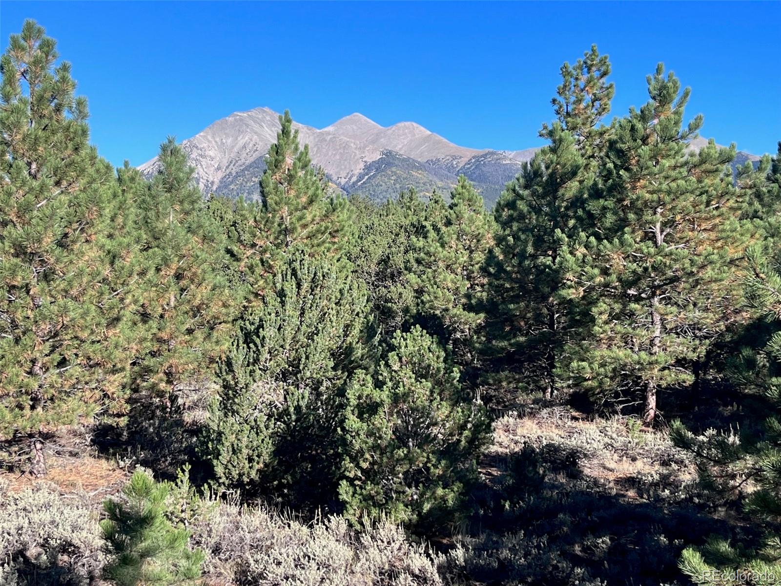 14759 Quartz Circle Salida, CO 81201 - Photo 4 of 11 a view of a houses with a lush green forest