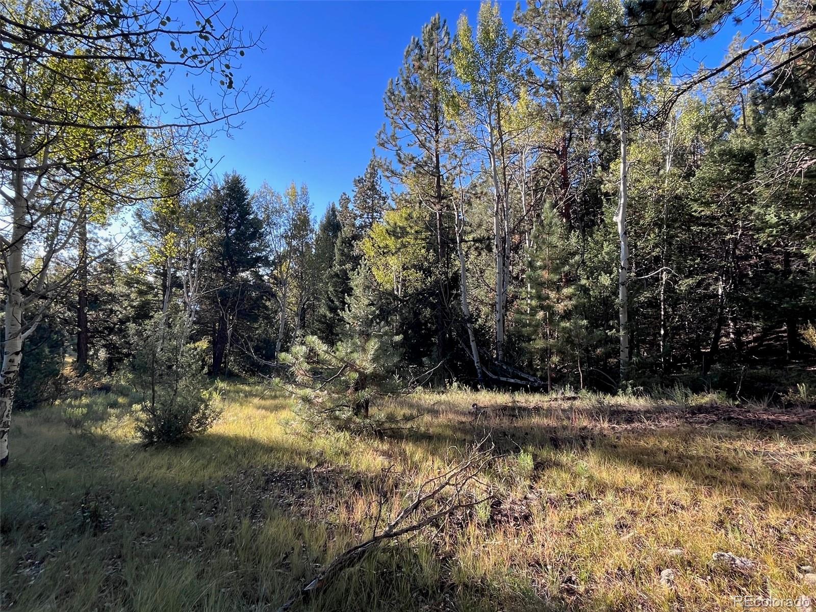 14759 Quartz Circle Salida, CO 81201 - Photo 6 of 11 a view of a yard with trees