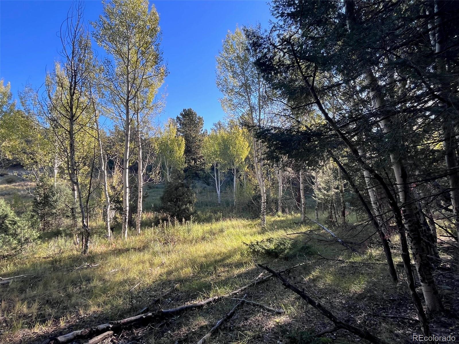 14759 Quartz Circle Salida, CO 81201 - Photo 9 of 11 a view of a yard with large trees