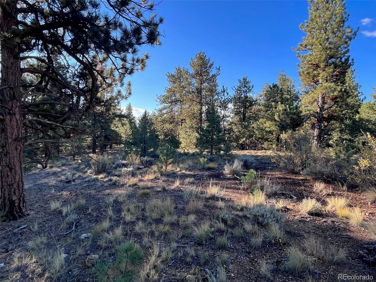 14759 Quartz Circle Salida, CO 81201 - Photo 10 of 11 a backyard of a house with lots of green space