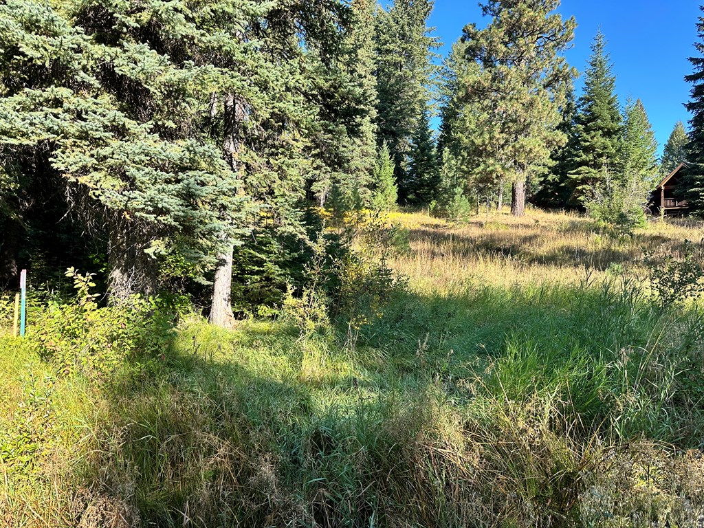 2195 Davy Road, Unit 83 Donnelly, ID 83615 - Photo 2 of 11