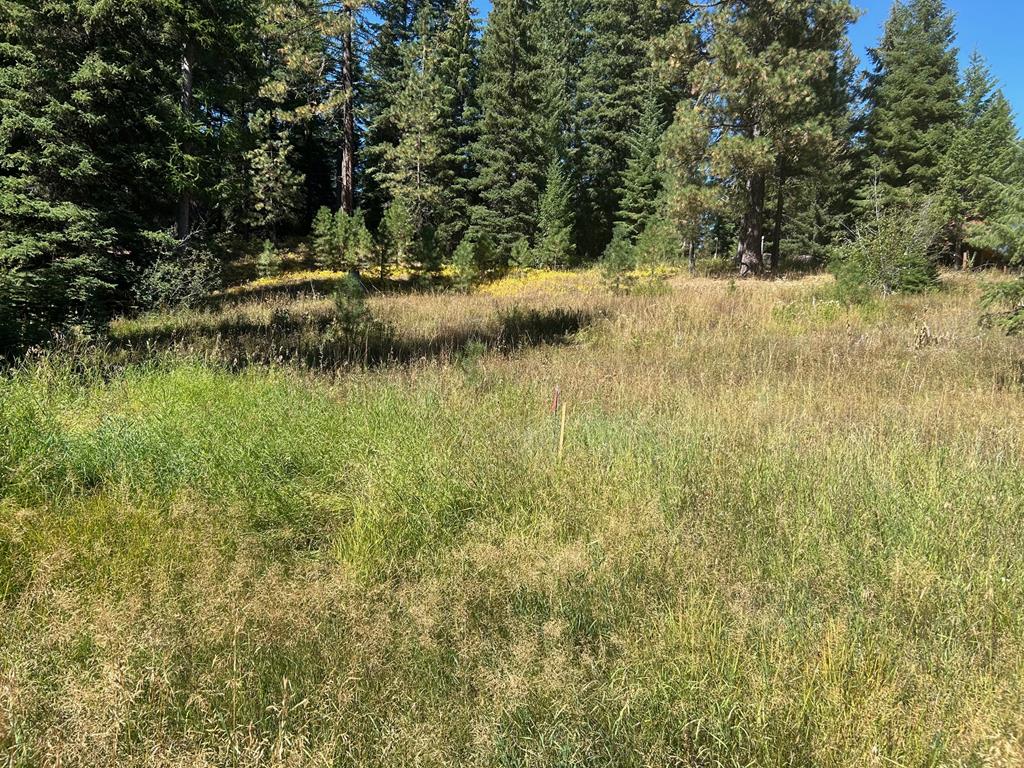 2195 Davy Road, Unit 83 Donnelly, ID 83615 - Photo 3 of 11