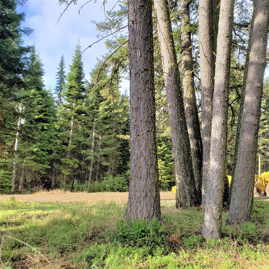 2195 Davy Road, Unit 83 Donnelly, ID 83615 - Photo 6 of 11