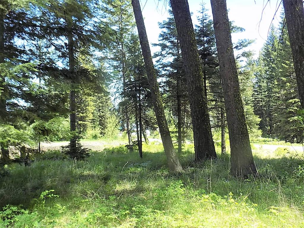 2195 Davy Road, Unit 83 Donnelly, ID 83615 - Photo 7 of 11