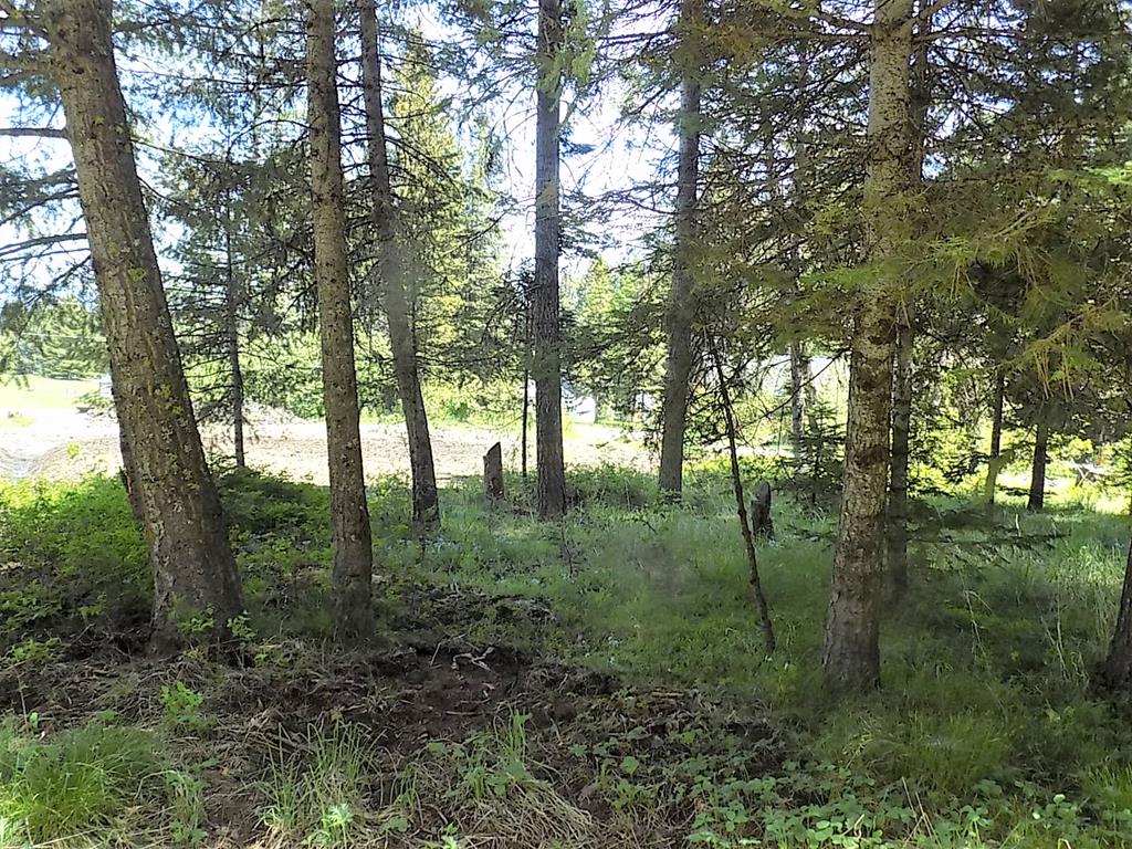 2195 Davy Road, Unit 83 Donnelly, ID 83615 - Photo 8 of 11