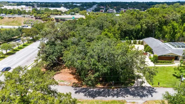 a view of a forest filled with trees