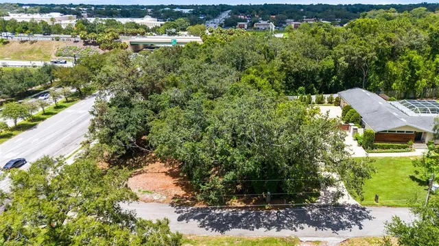 a view of a forest filled with trees