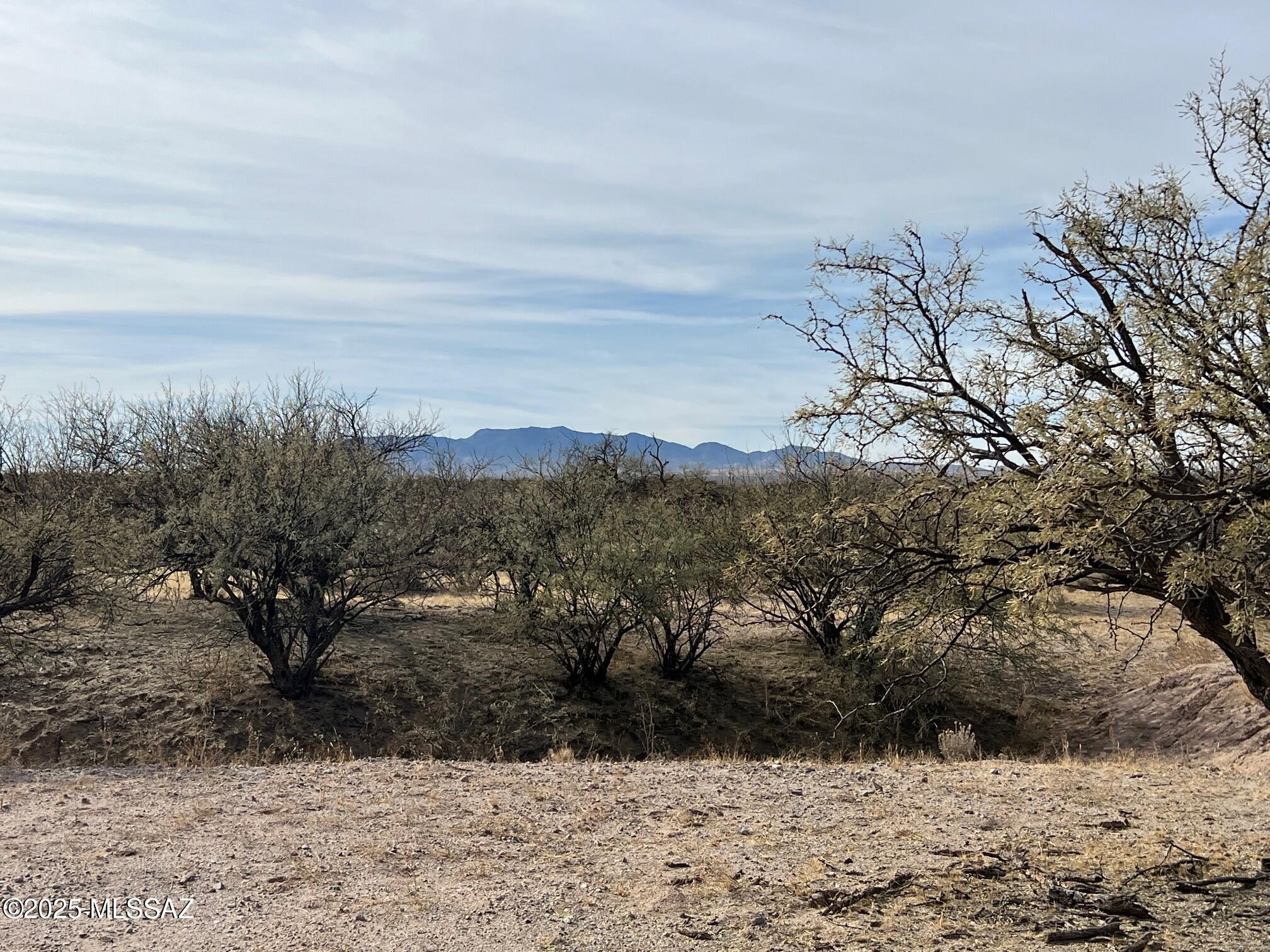 5.29-ac North Cascabel Road Benson, AZ 85602 - Photo 11 of 17