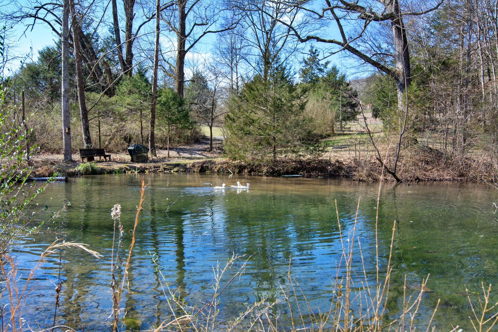 240 Sardis Church Road Whitwell, TN 37397 - Photo 3 of 94 240SardisChurchRd-9