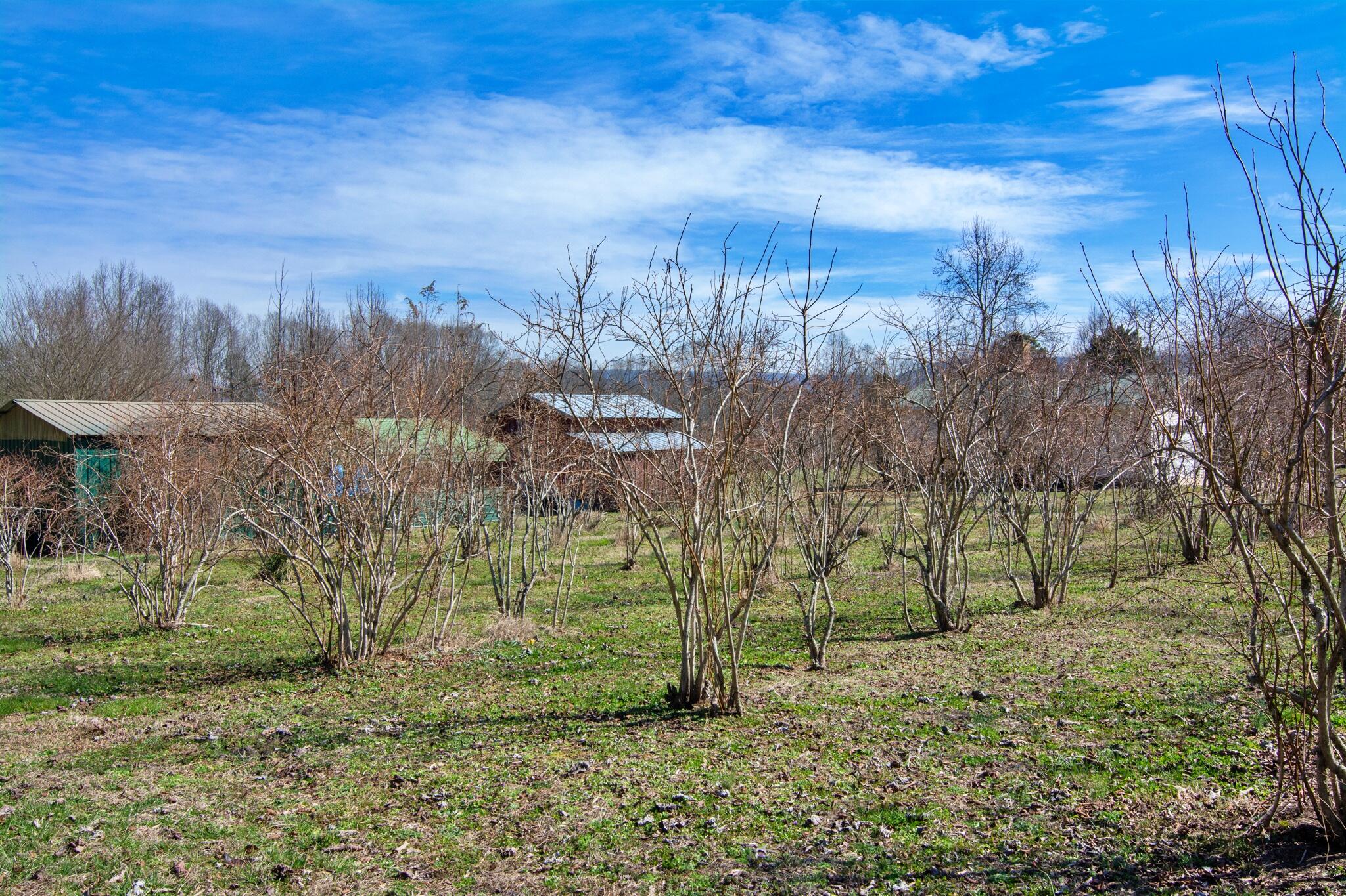 240 Sardis Church Road Whitwell, TN 37397 - Photo 49 of 94 240SardisChurchRd-4