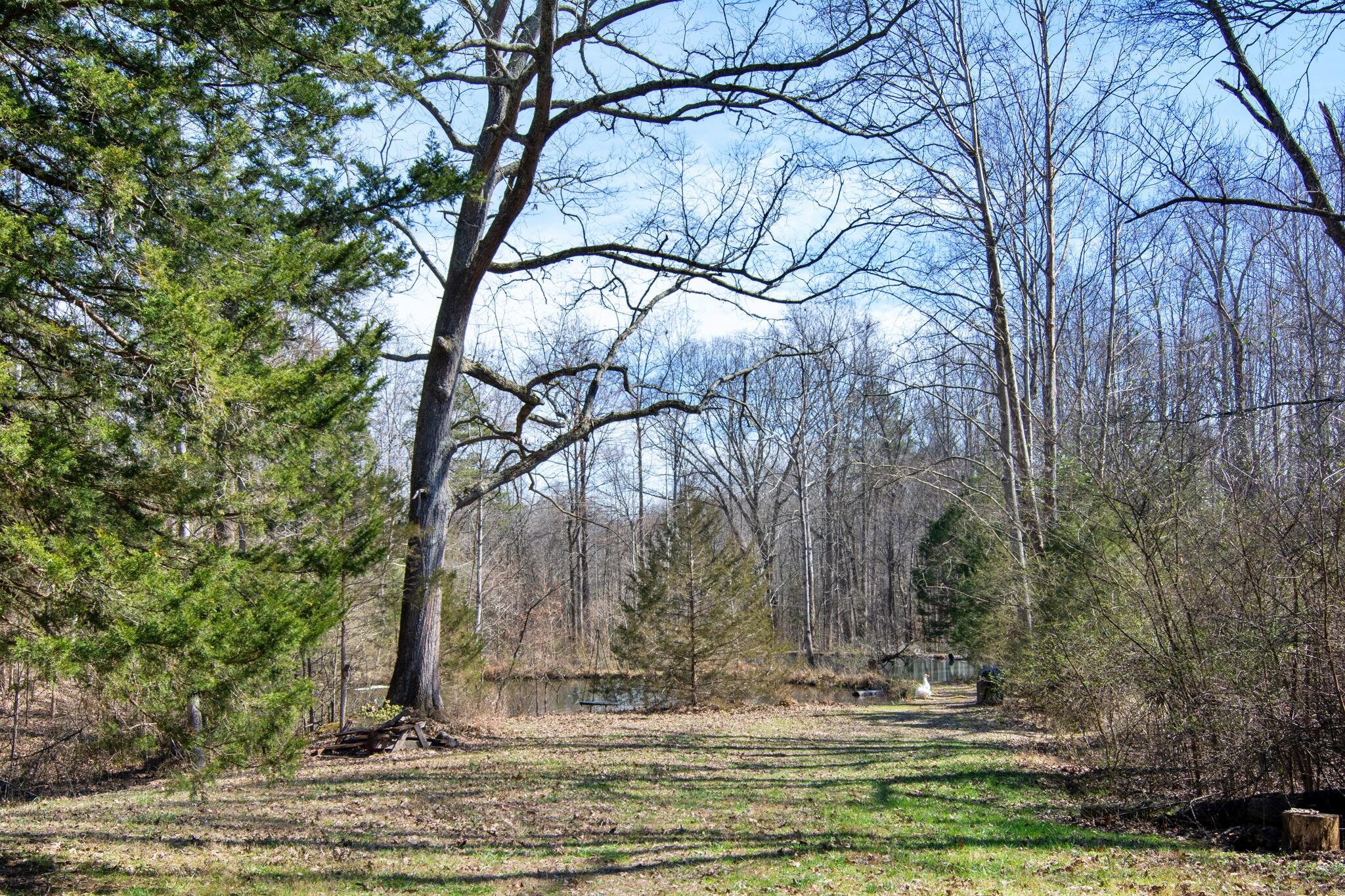240 Sardis Church Road Whitwell, TN 37397 - Photo 53 of 94 240SardisChurchRd-8