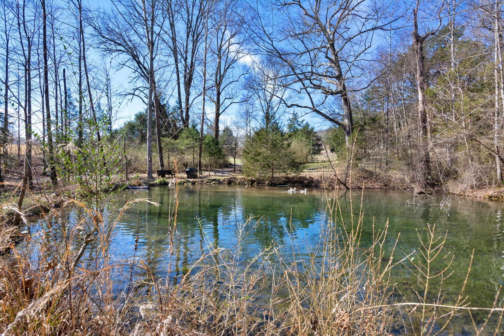 240 Sardis Church Road Whitwell, TN 37397 - Photo 54 of 94 240SardisChurchRd-10