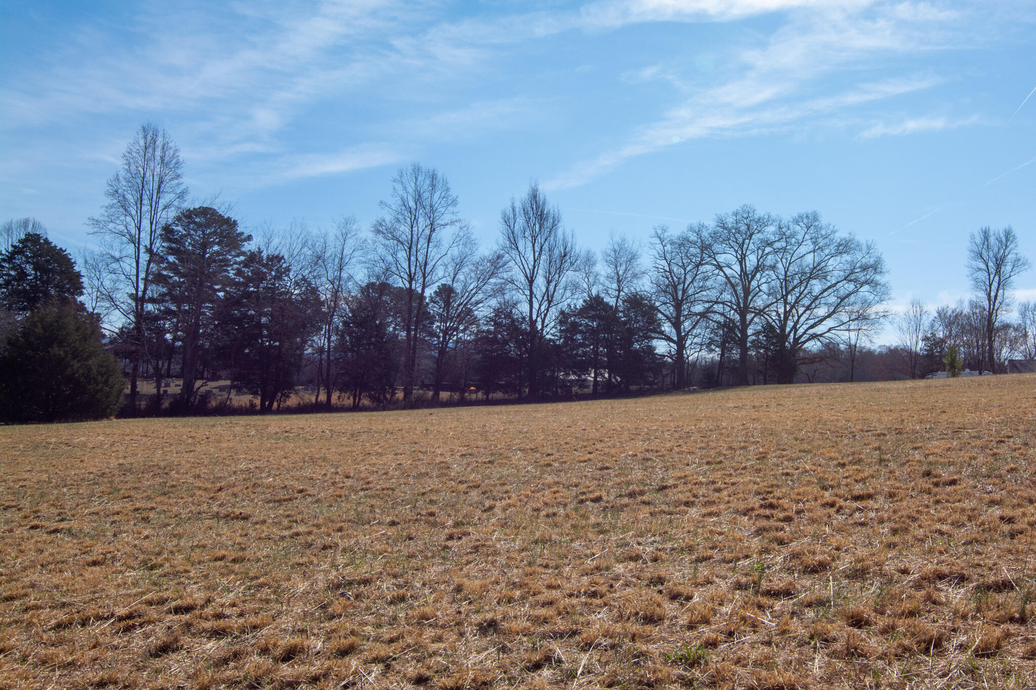 240 Sardis Church Road Whitwell, TN 37397 - Photo 60 of 94 240SardisChurchRd-20