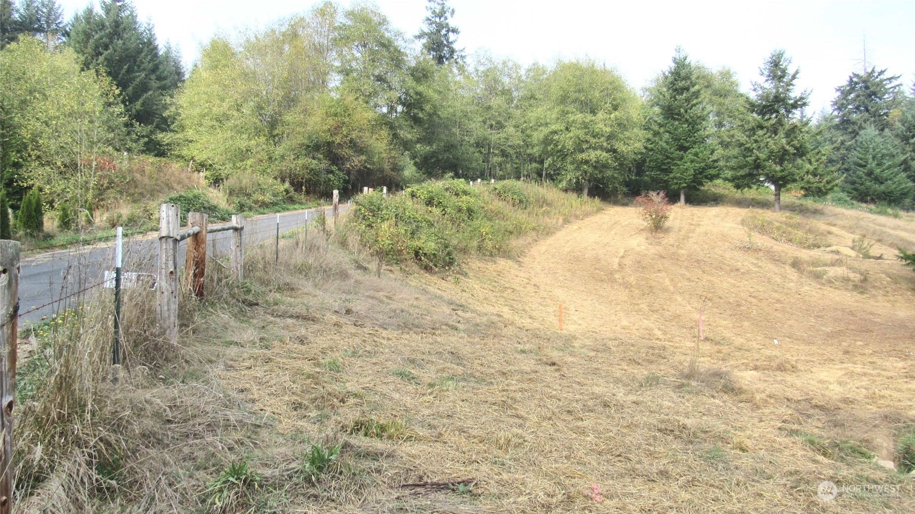 2 Ward Road Longview, WA 98632 - Photo 4 of 7 a view of a yard with trees