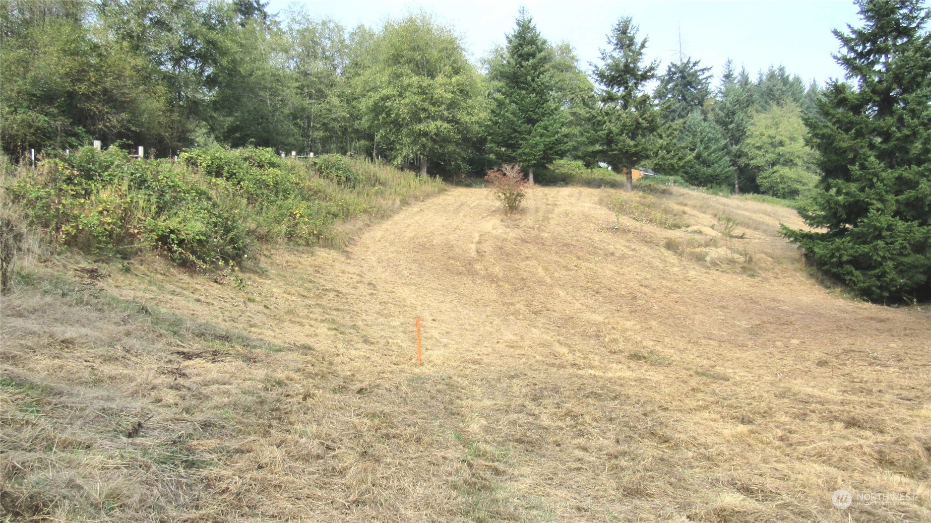 2 Ward Road Longview, WA 98632 - Photo 6 of 7 a view of a dry yard with trees