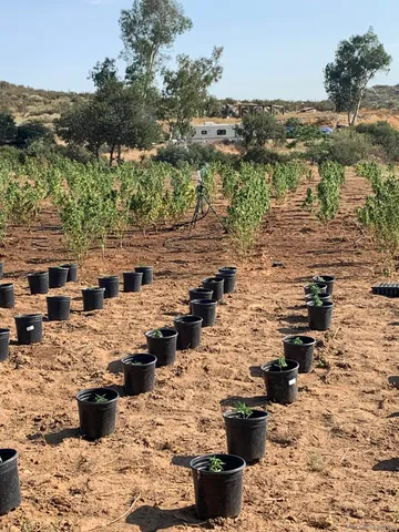 a view of lake with mountain in the background