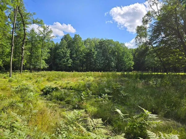 $17,500 | 9397 Sunset Drive, Stanwood, MI 49346