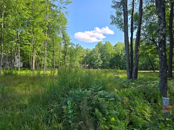 $17,500 | 9397 Sunset Drive, Stanwood, MI 49346