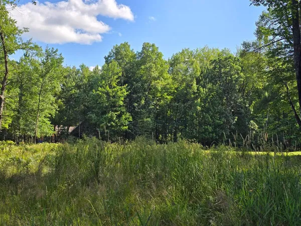 $17,500 | 9397 Sunset Drive, Stanwood, MI 49346