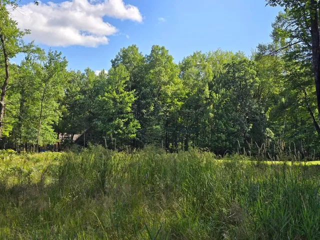 $17,500 | 9397 Sunset Drive, Stanwood, MI 49346