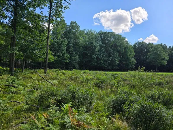 $17,500 | 9397 Sunset Drive, Stanwood, MI 49346