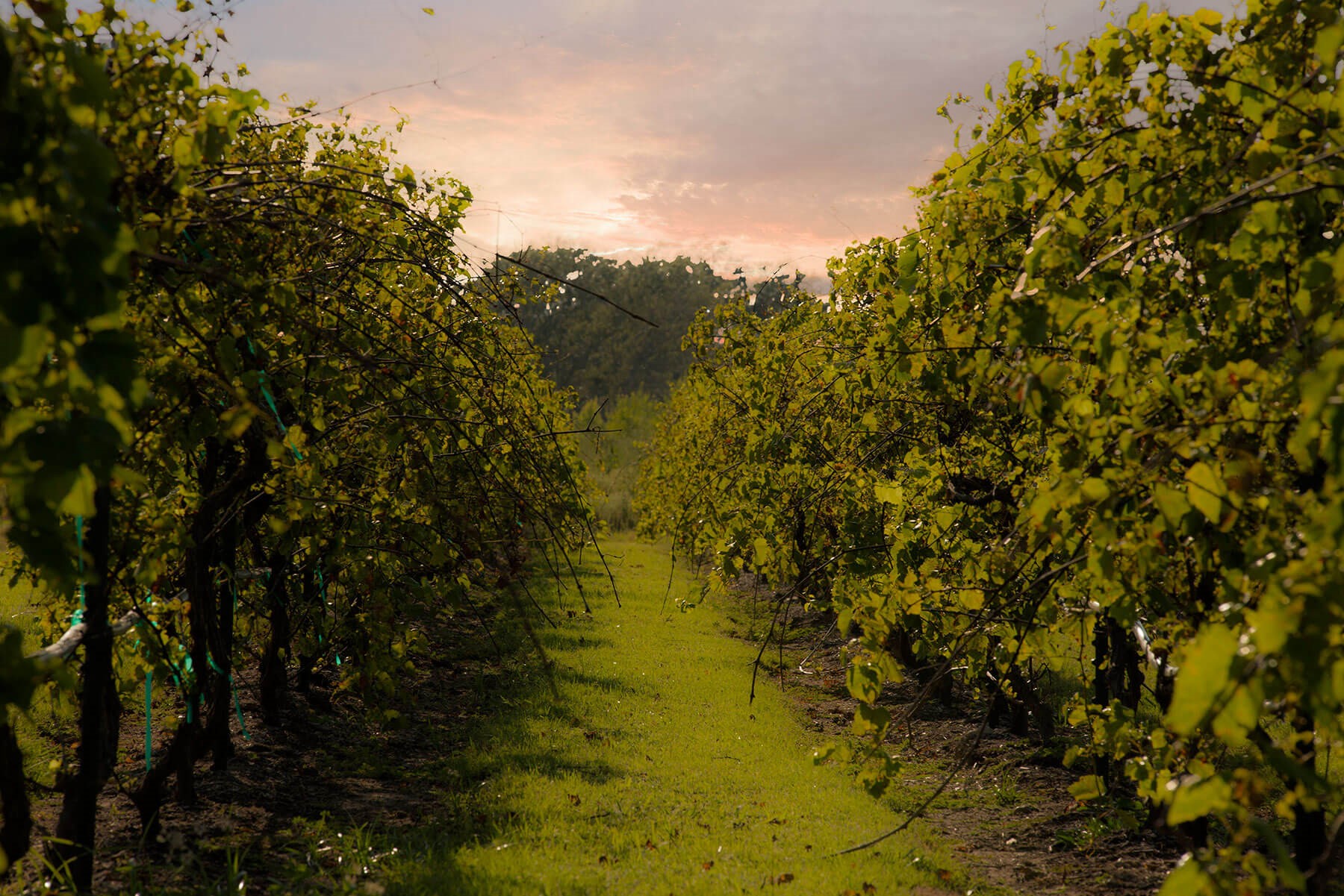 29526 Cir S Rnch Trail Fulshear, TX 77406 - Photo 43 of 48 a view of lake