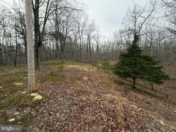 $199,000 | 81 Hershel Lane, High View, WV 26808