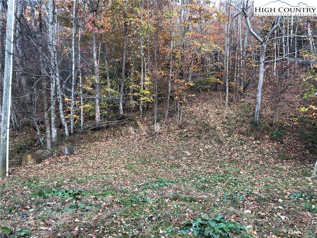 3017 3 Top Road Creston, NC 28615 - Photo 19 of 24 Gallery Image 19
