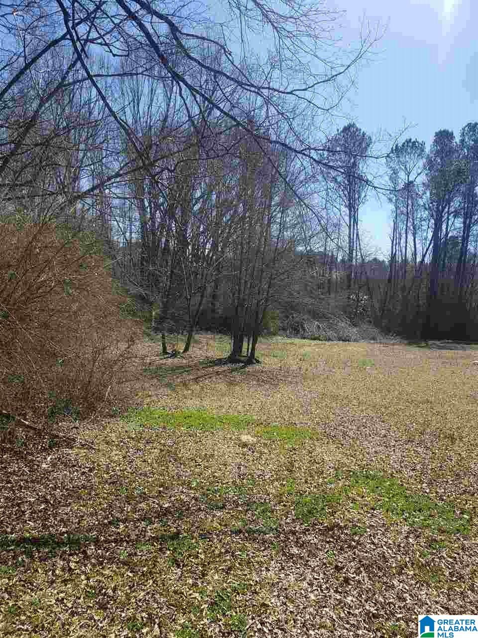 543 Odens Mill Road Sylacauga, AL 35150 - Photo 46 of 49