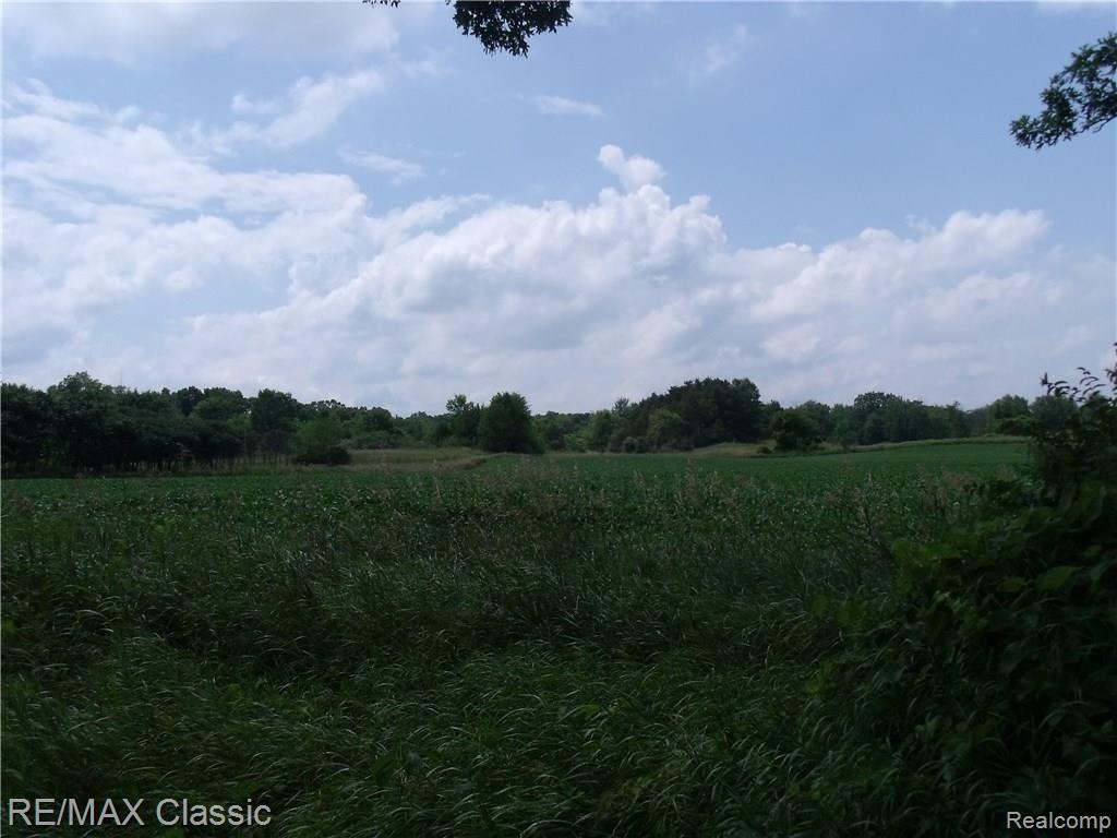 0 Rattalee Lake Rd Big Timber Walkout Holly, MI 48442 - Photo 2 of 2