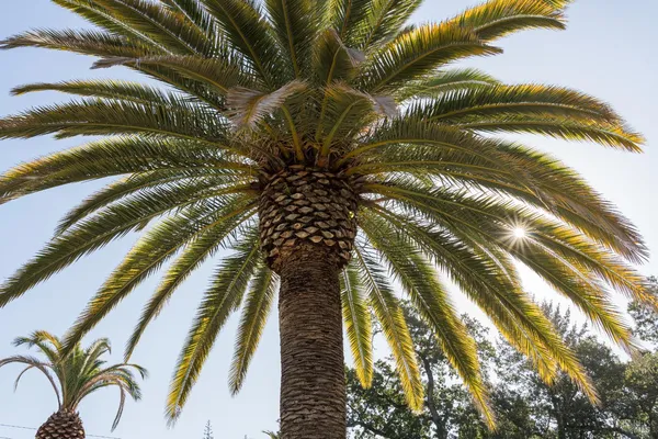 $12,000,000 | 400 Meadowood Lane, St. Helena, CA 94574