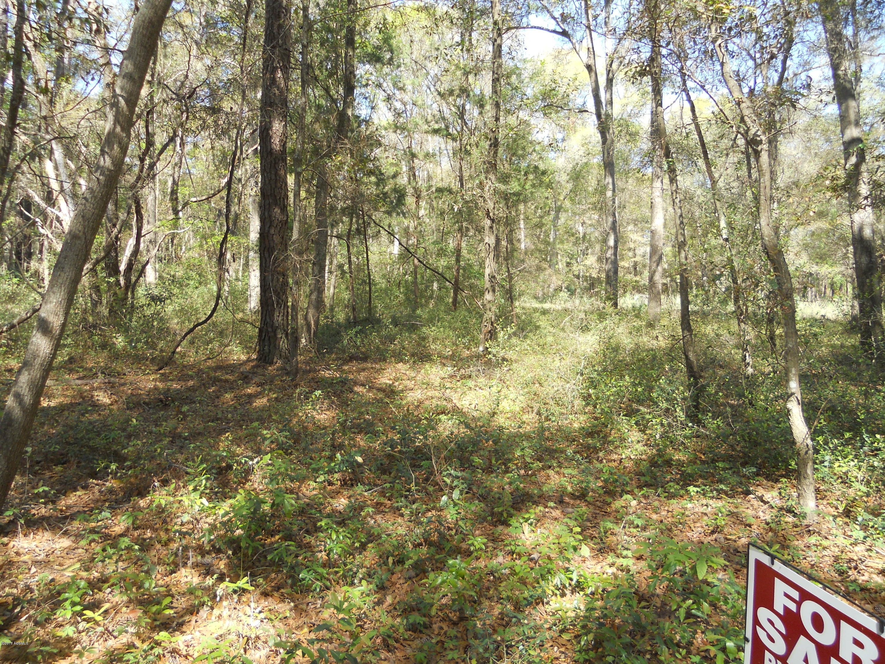 19 West Cedar Road St. Helena Island, SC 29920 - Photo 1 of 3 115