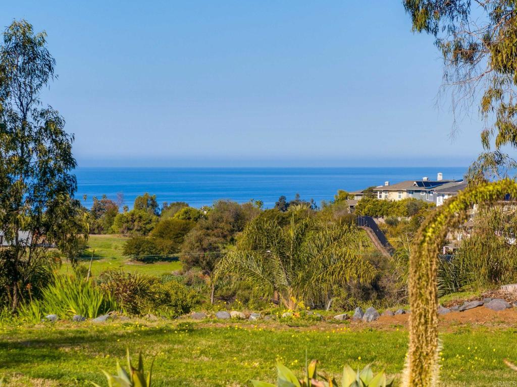 623 Quail Gardens Lane Encinitas, CA 92024 - Photo 5 of 25