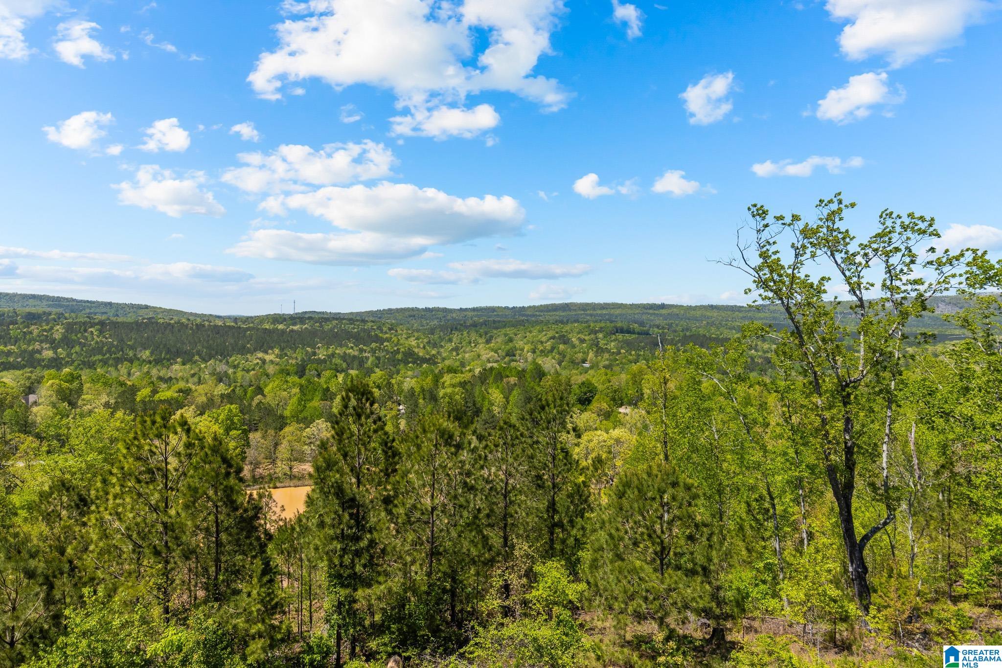 206 Shaw Road Pell City, AL 35128 - Photo 63 of 93