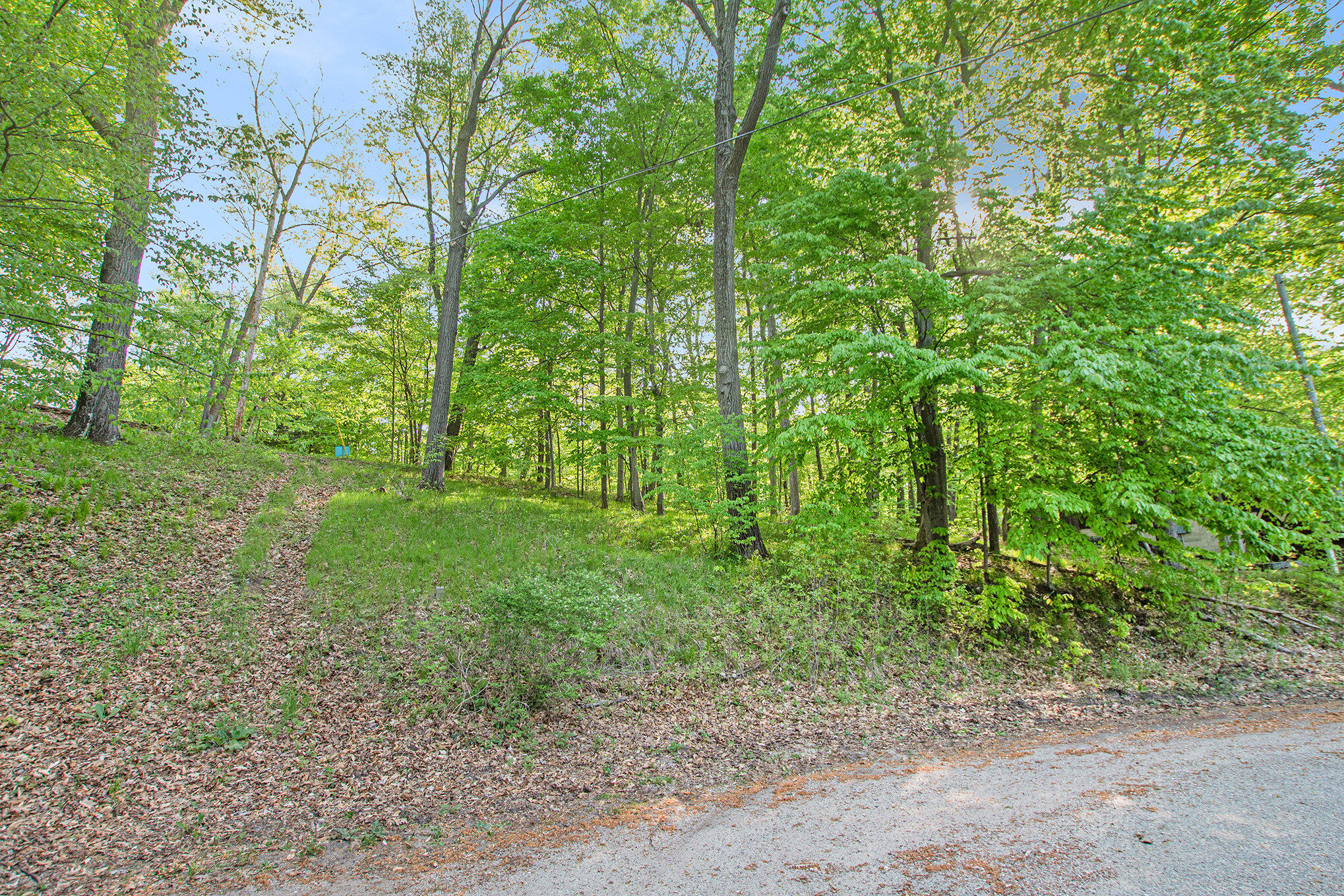 8175 Colgrove Road Mecosta, MI 49332 - Photo 4 of 23 Lot 57