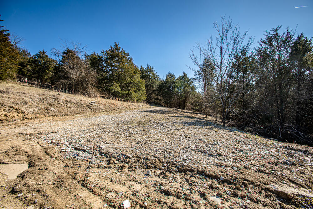 581 Luke Road Sadieville, KY 40370 - Photo 40 of 49 1F9A9775
