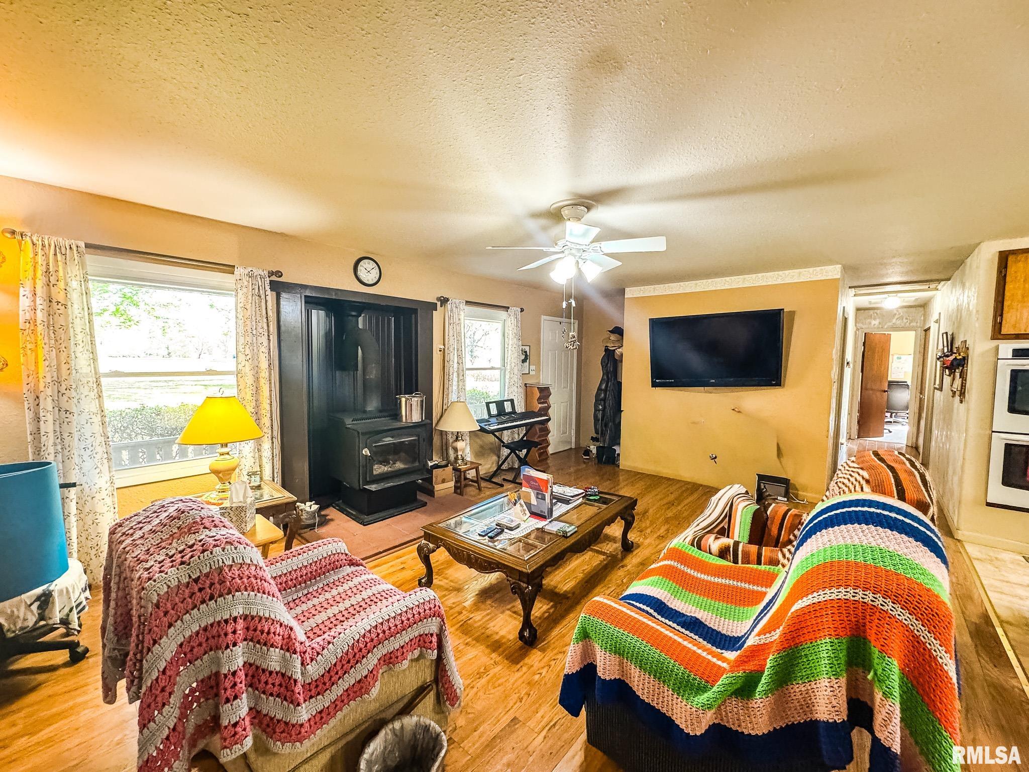 15789 Corinth Road Johnston City, IL 62951 - Photo 13 of 30