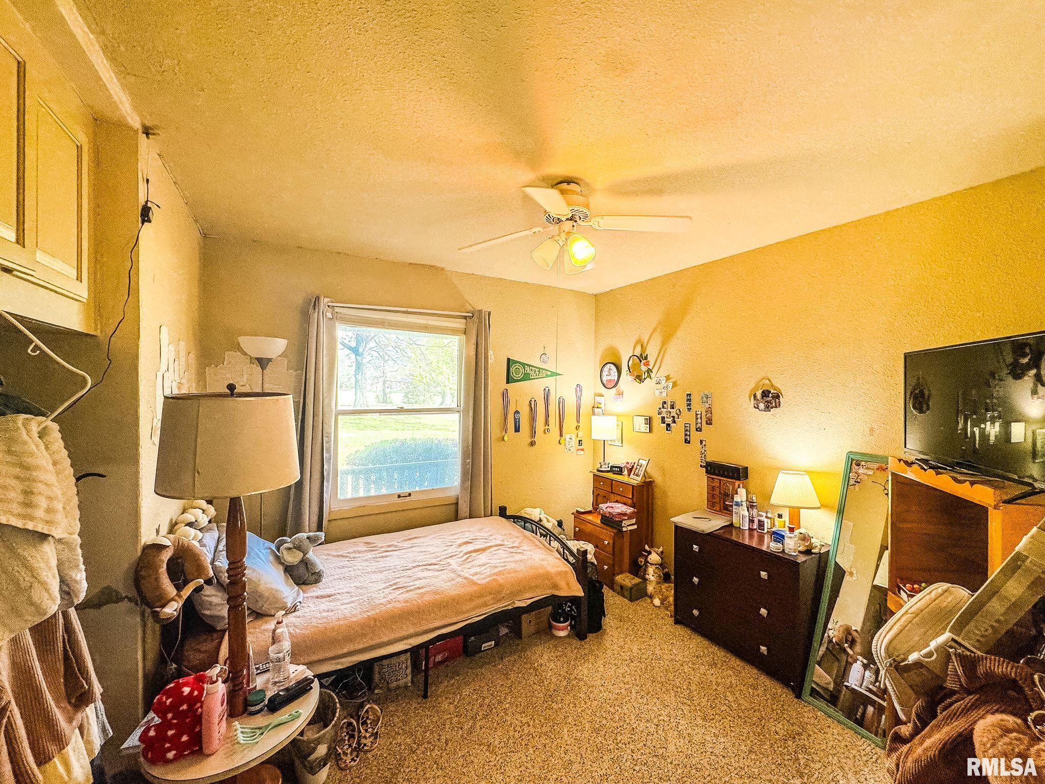 15789 Corinth Road Johnston City, IL 62951 - Photo 15 of 30