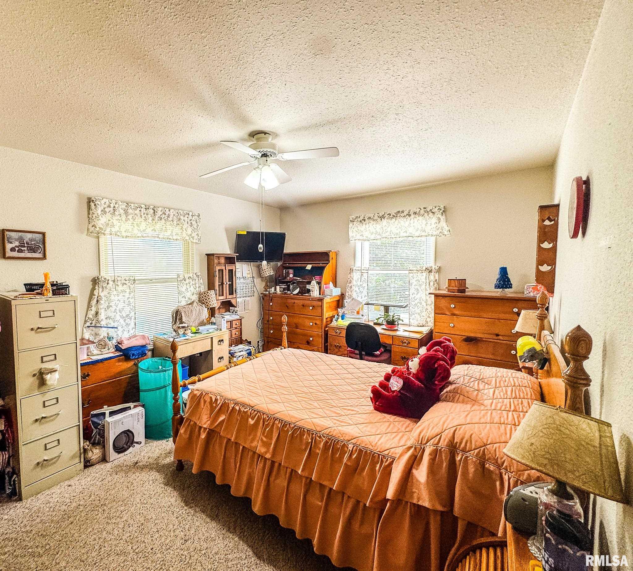 15789 Corinth Road Johnston City, IL 62951 - Photo 17 of 30