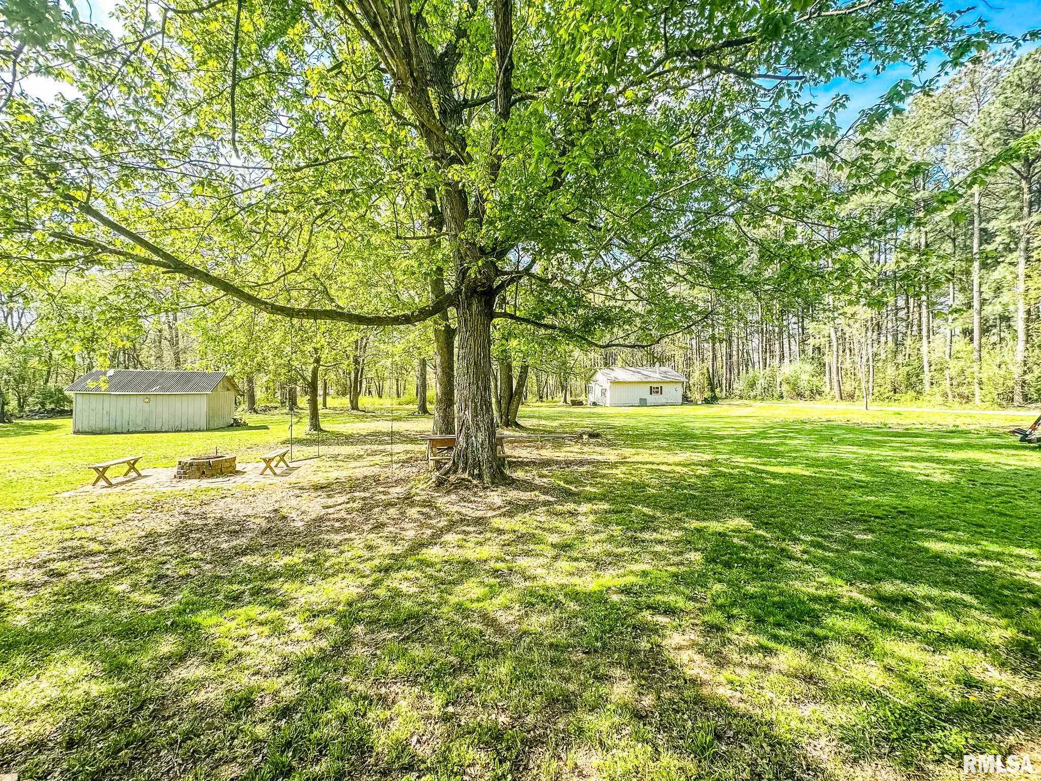 15789 Corinth Road Johnston City, IL 62951 - Photo 3 of 30