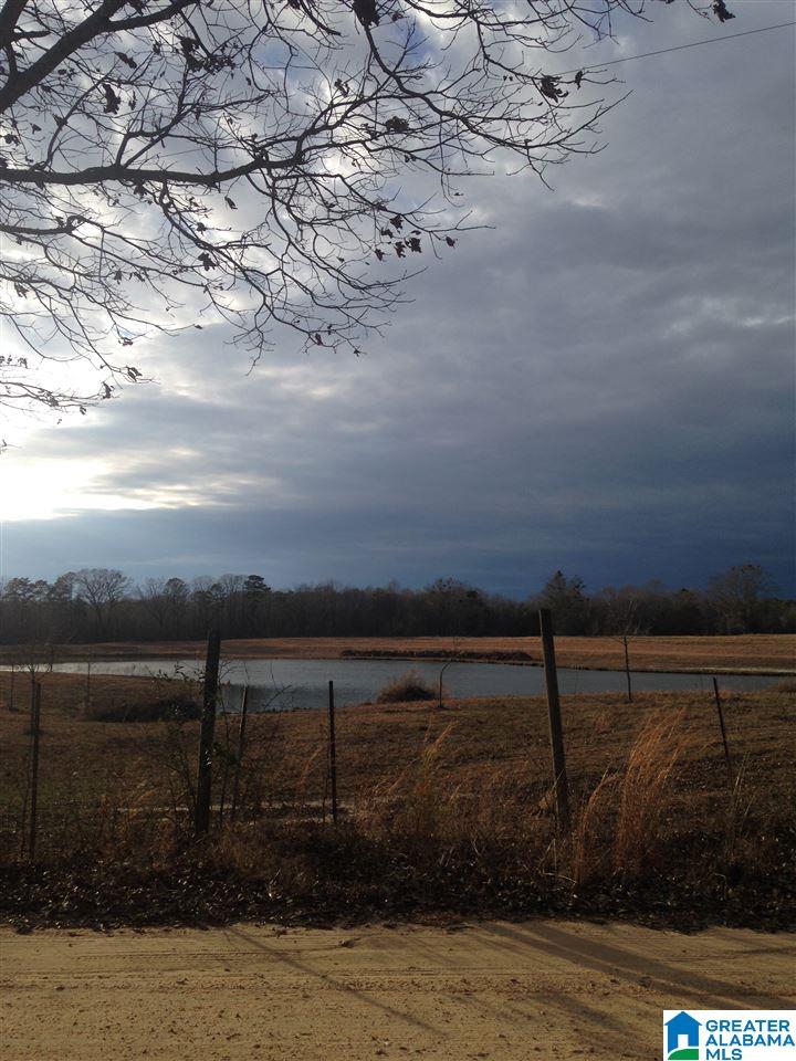 0 County Road 407 Clanton, AL 35045 - Photo 3 of 7