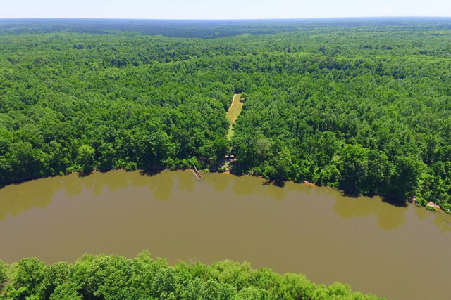 11864 Burtons Ferry Martin, SC 29836 - Photo 45 of 46