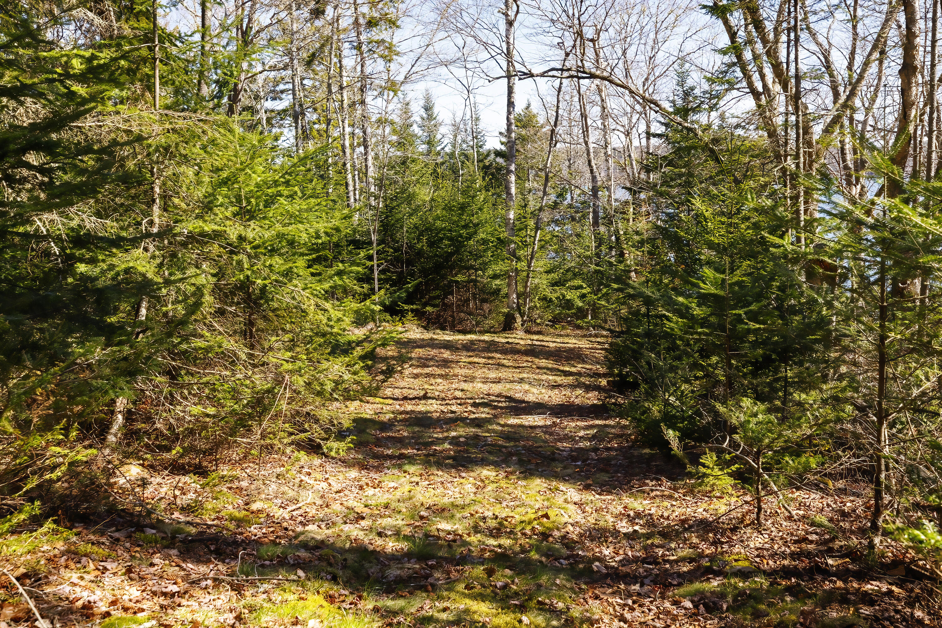 465 Eggemoggin Road Little Deer Isle, ME 04650 - Photo 47 of 67 71- 465 Eggemoggin Road HiRes-DTP (1)