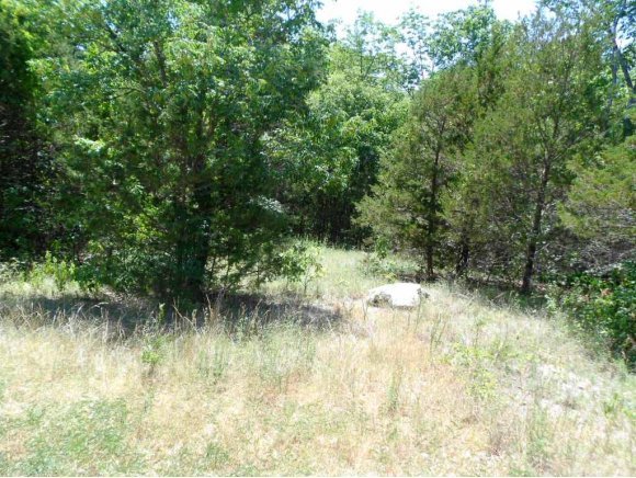 0 Hunter's Glen Road Walnut Shade, MO 65771 - Photo 1 of 1 Branson Area Lot
