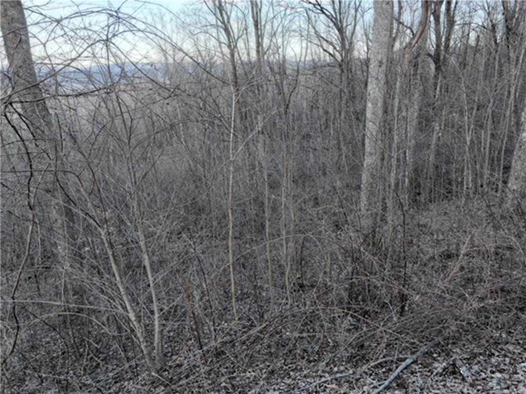 280 Andes Ridge Talking Rock, GA 30175 - Photo 41 of 45