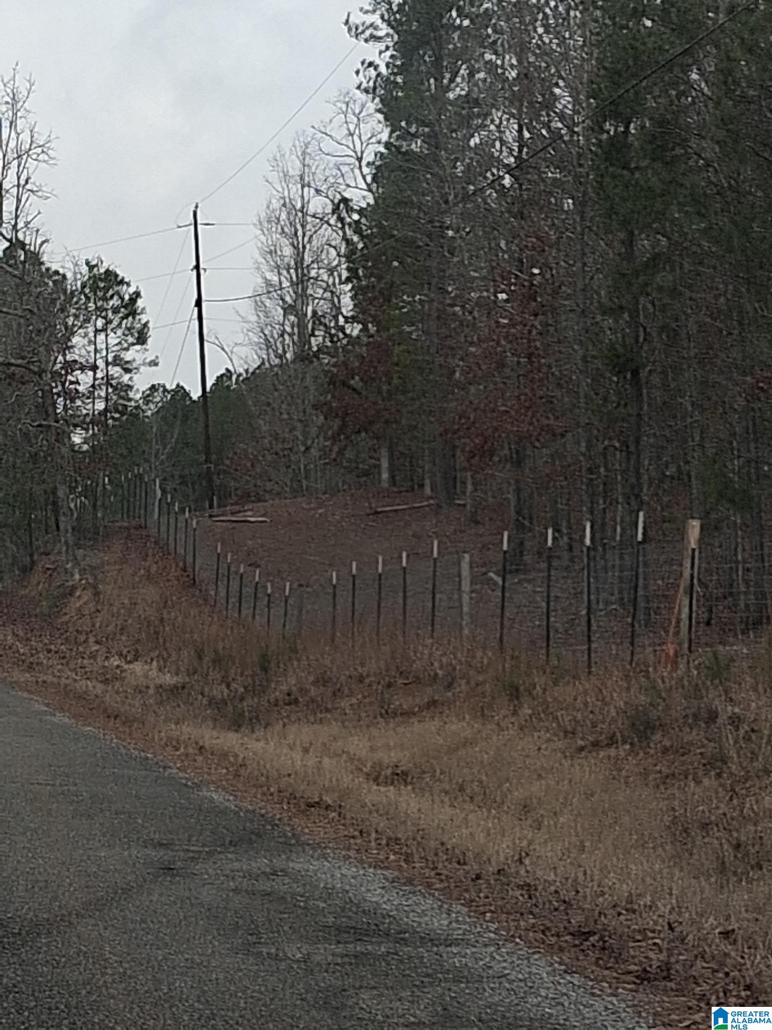 393 Siler Road Piedmont, AL 36272 - Photo 8 of 14