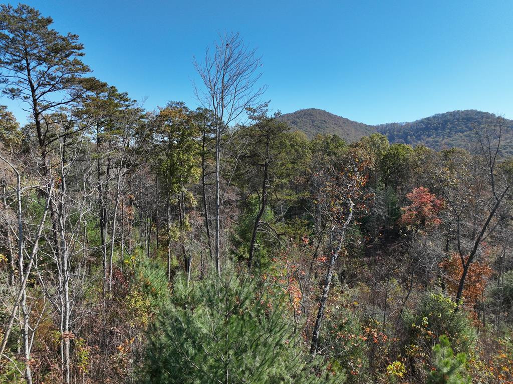 7.91 Prince Road Murphy, NC 28906 - Photo 1 of 41 Main View